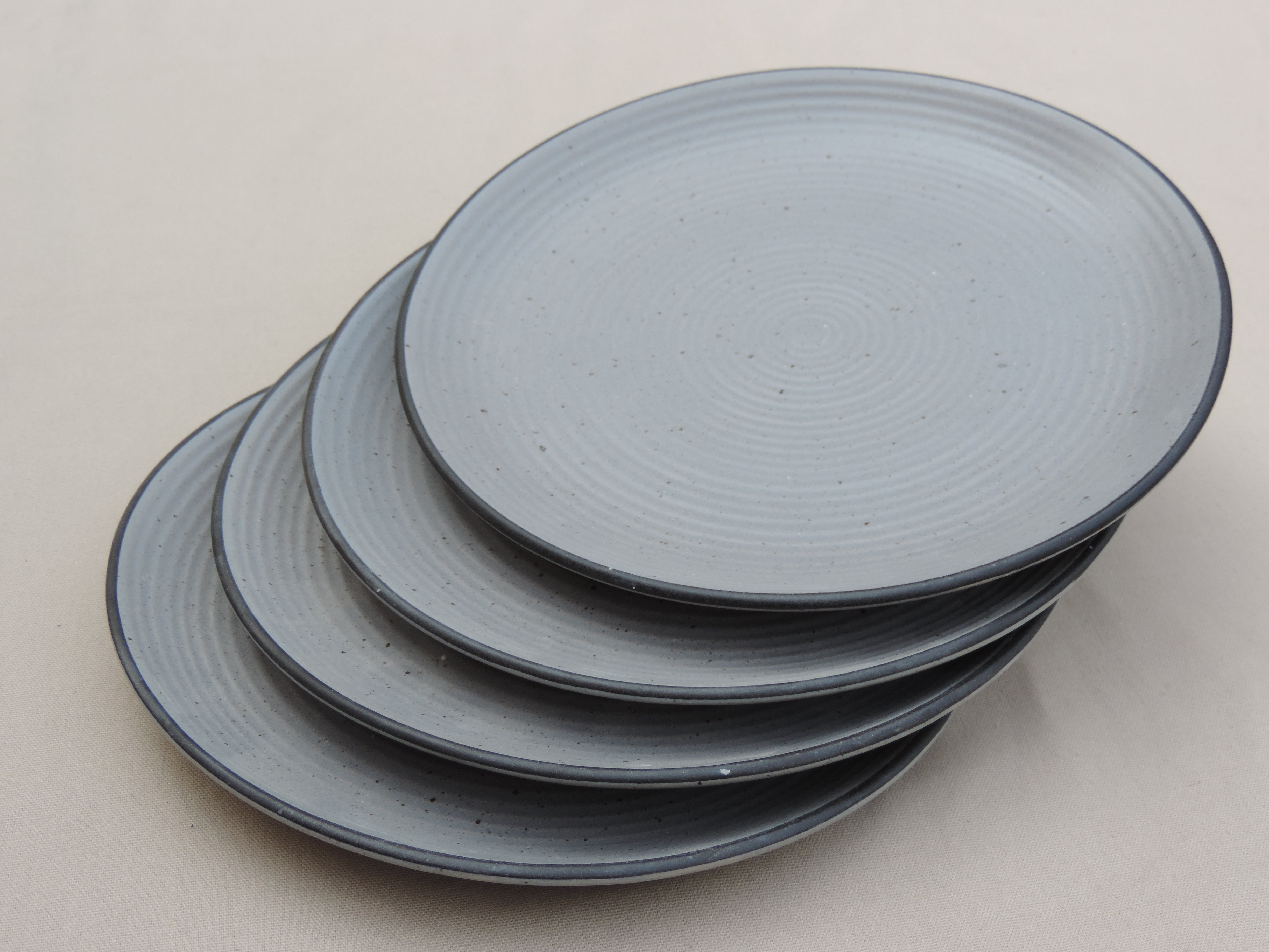 Dinnerware Collection Grey matt Plates Set of 4 - 10 inches
