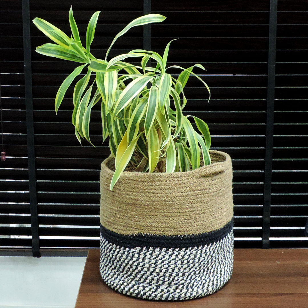 Jute Planter Pots / Storage Basket with Handle /Multi-Purpose use for Bathroom Living Room & Others /Natural & Black/11"x10"