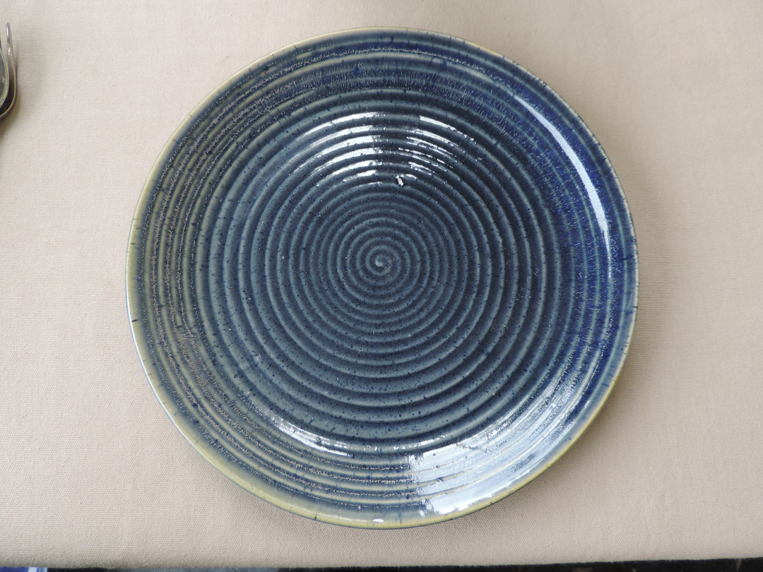 Dinnerware Collection Plates Blue Set of 4 - 10 Inches